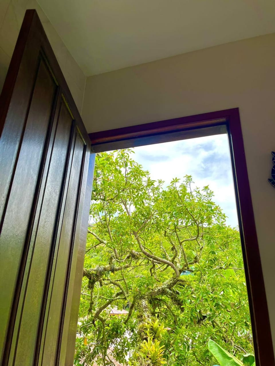 Garden view