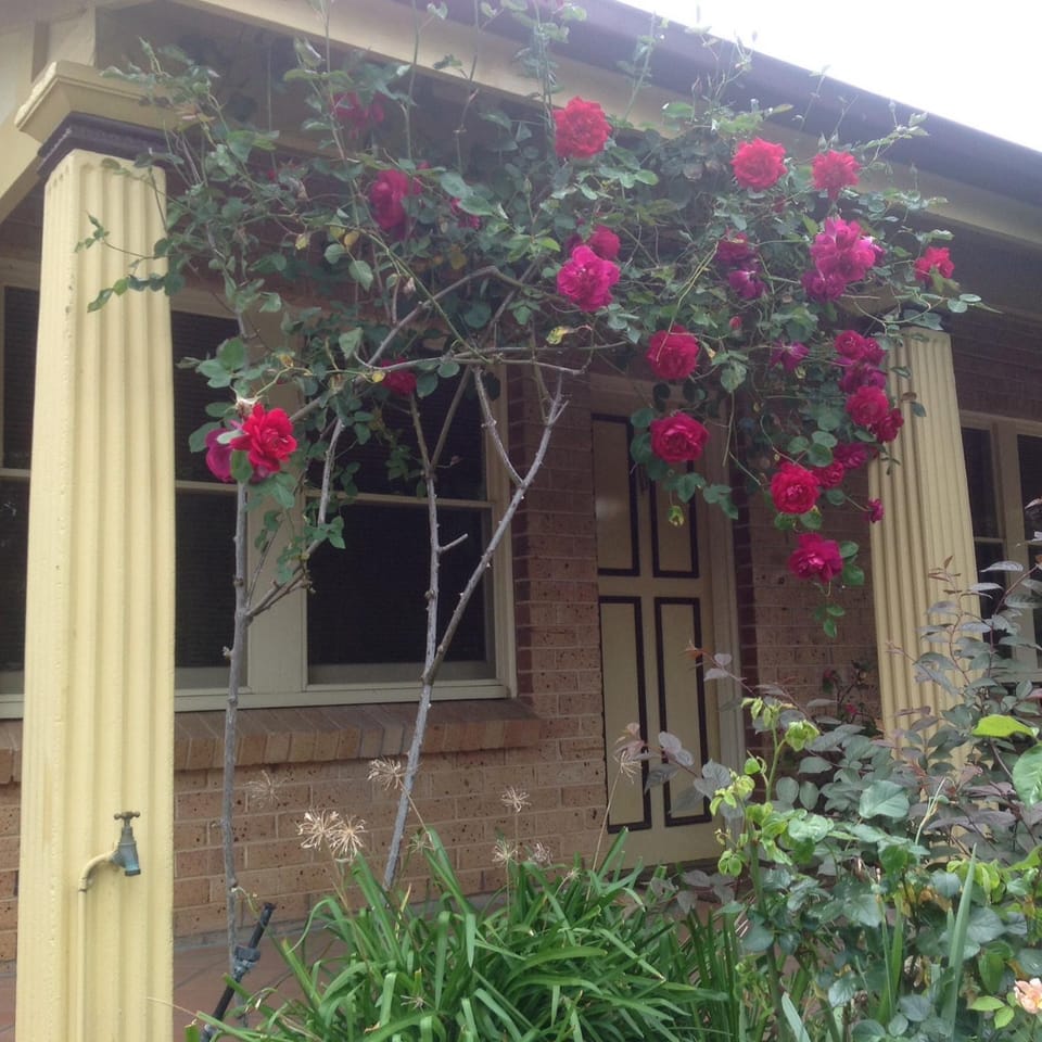 Patio, Facade/entrance