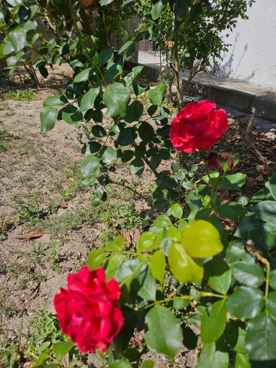 Pension Annoula Bed and Breakfast in Rhodes, Greece