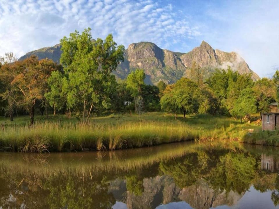 Spring, Natural landscape