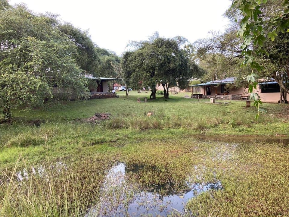 Natural landscape