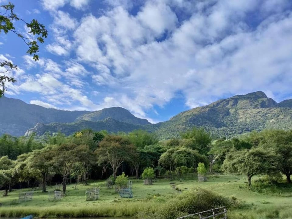 Natural landscape, Hiking, Mountain view