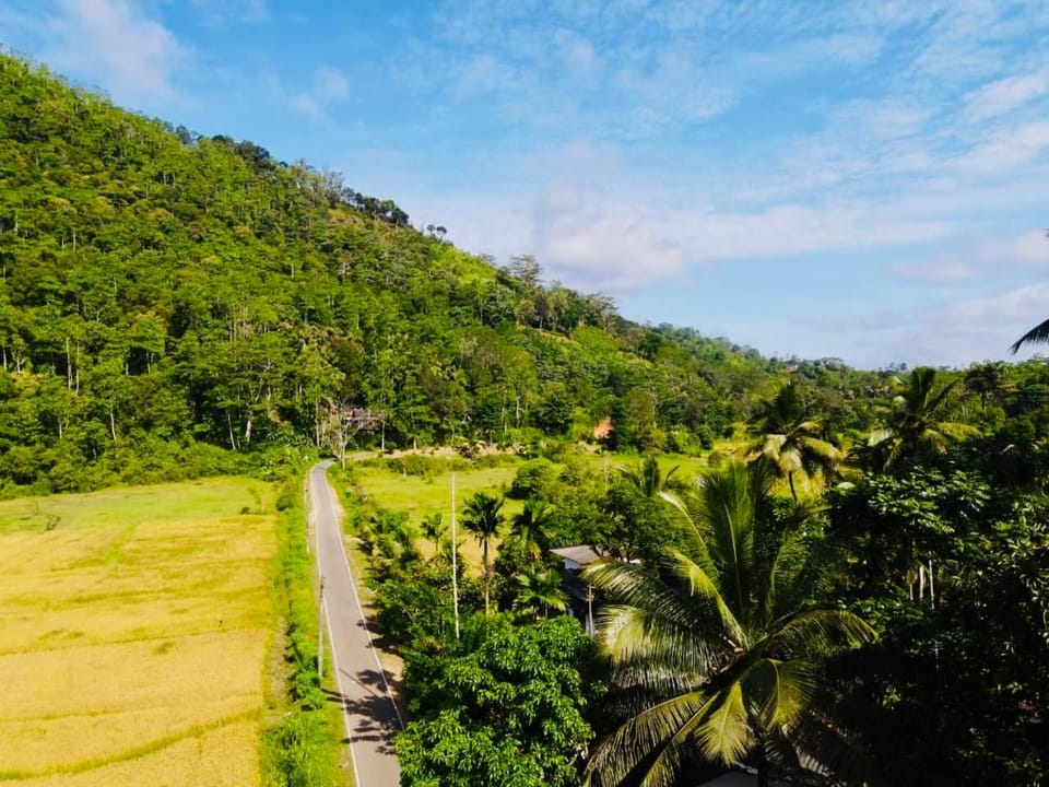 View (from property/room)