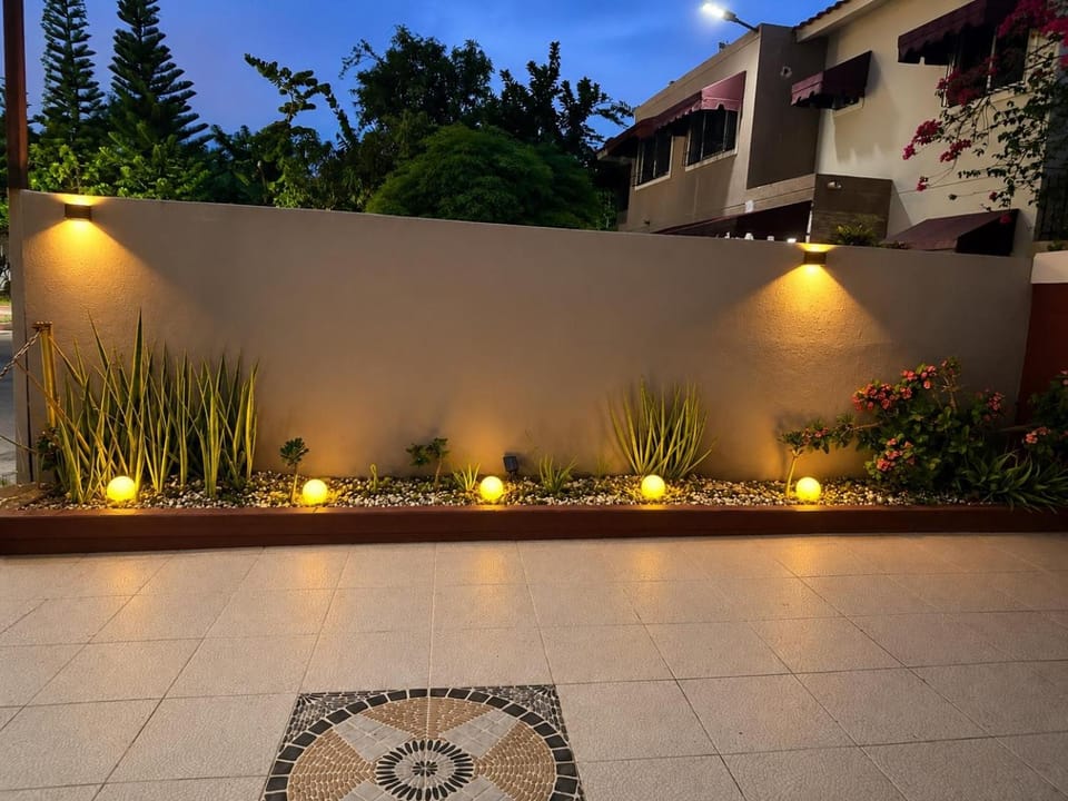 Night, Garden, Garden view