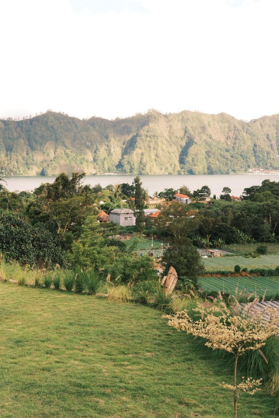Lake view