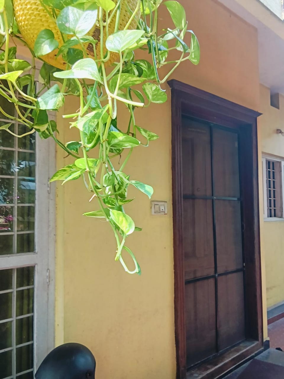 Peace & Pine backpackers stay Vacation rental in Kochi