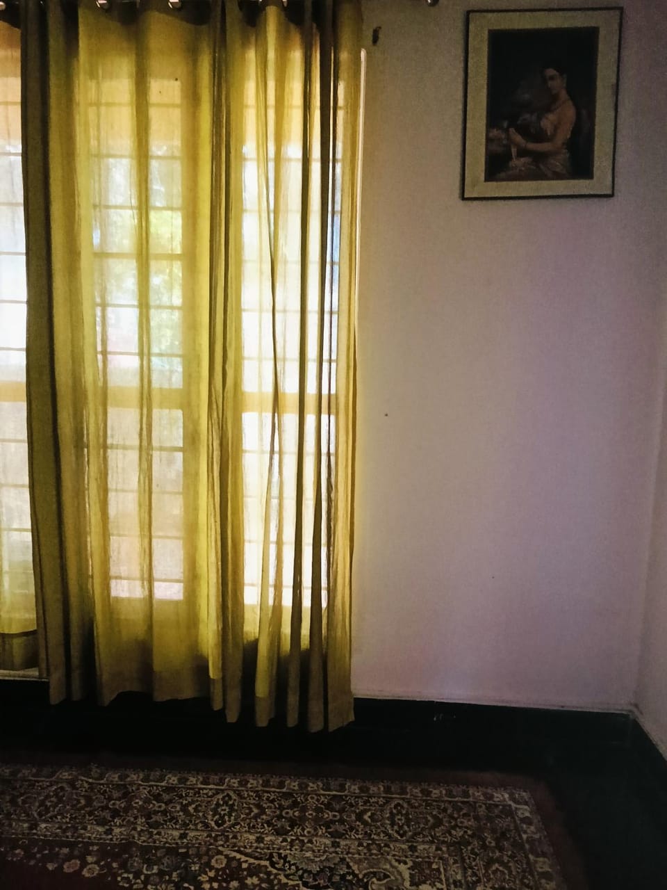 Peace & Pine backpackers stay Vacation rental in Kochi