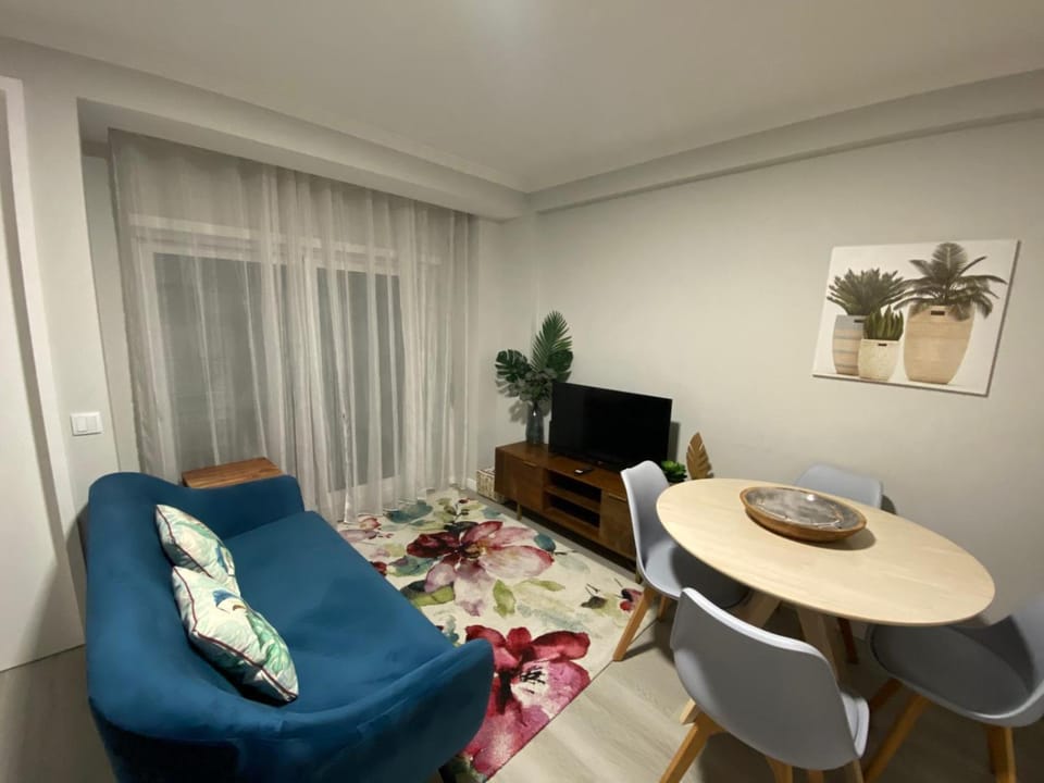 Aveiro Studio Alboi Apartment in Aveiro