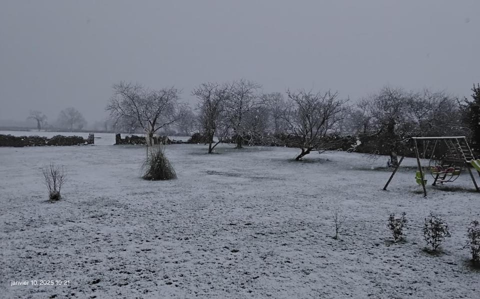 Winter, Garden view