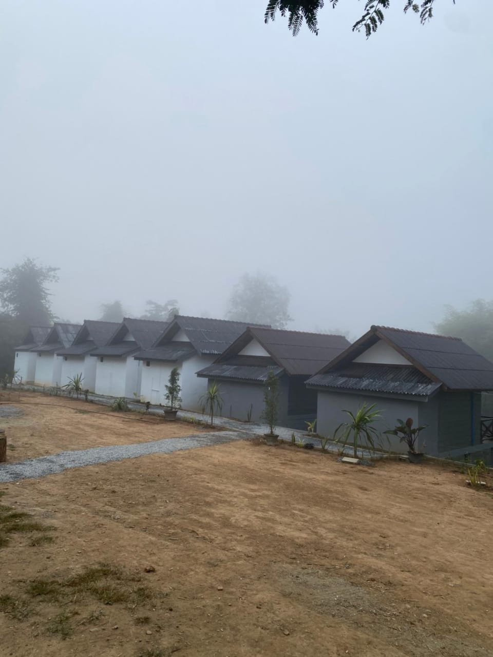 Thavisok Guest House Bed and Breakfast in Luang Prabang Province, Laos