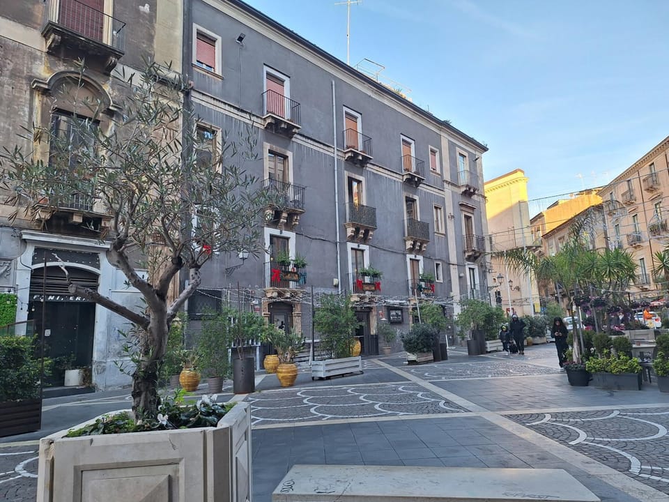 Quiet street view
