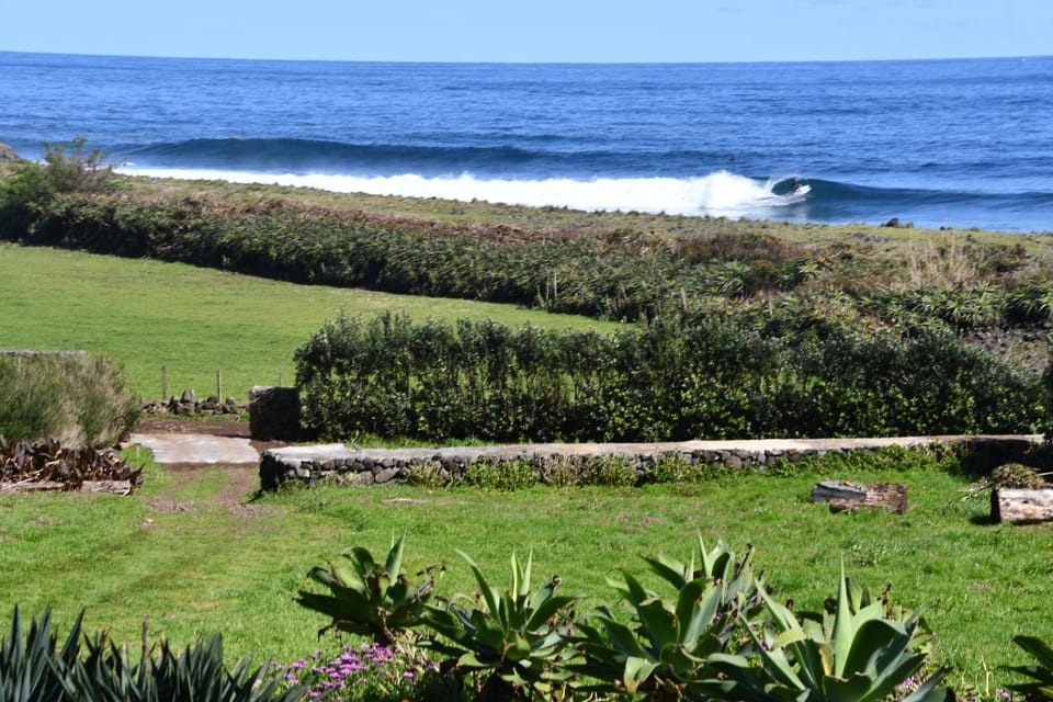 Natural landscape, Garden, Sea view