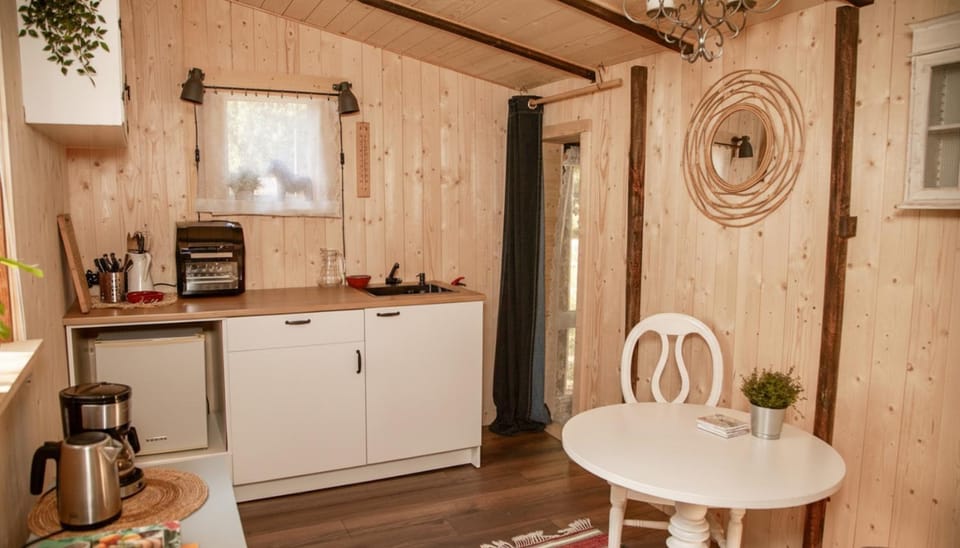Kitchen or kitchenette, Dinner