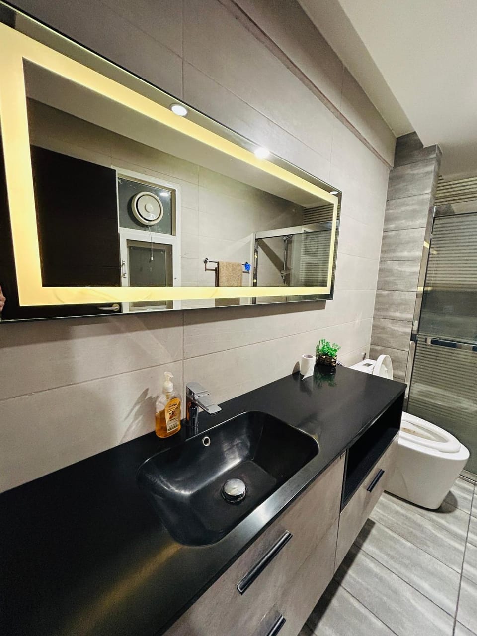 Toilet, Bathroom