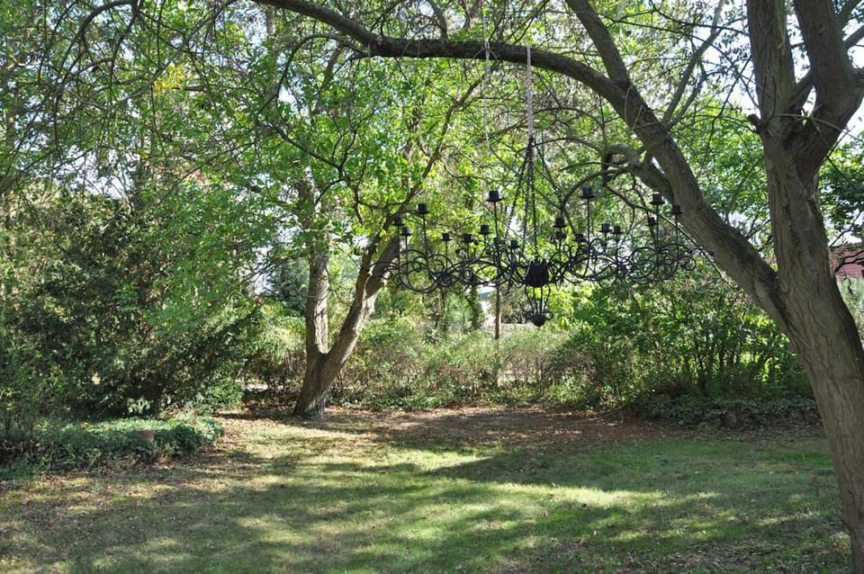 Garden, Garden, Garden view