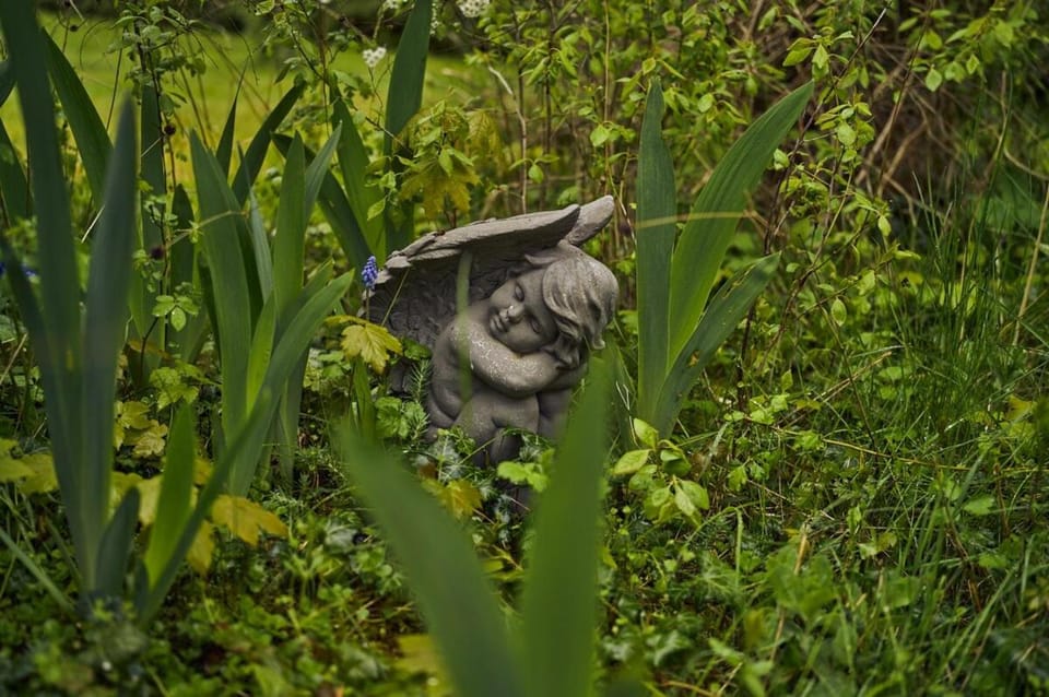 Spring, Garden, Garden
