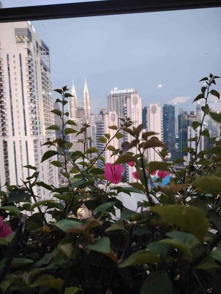 City view