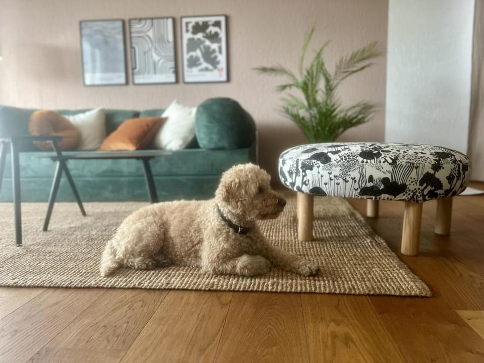 Living room, Seating area, Pets