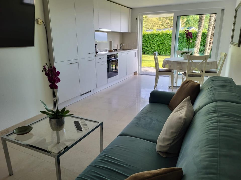 TV and multimedia, Kitchen or kitchenette, Living room, Seating area, Dining area