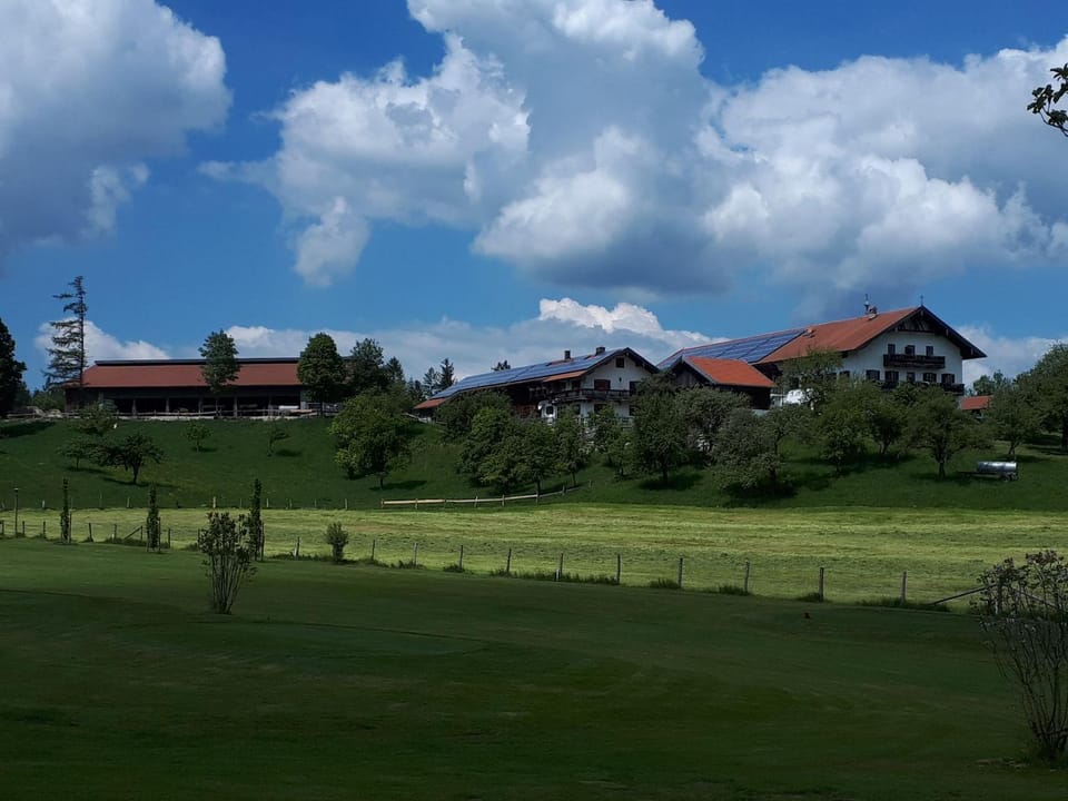Property building, Natural landscape
