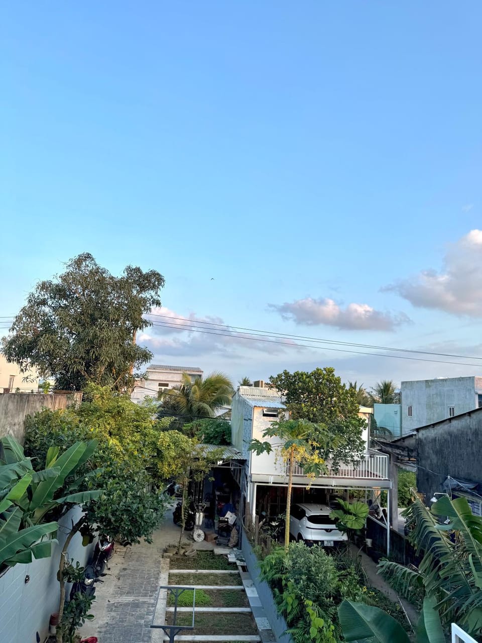 Day, Garden view