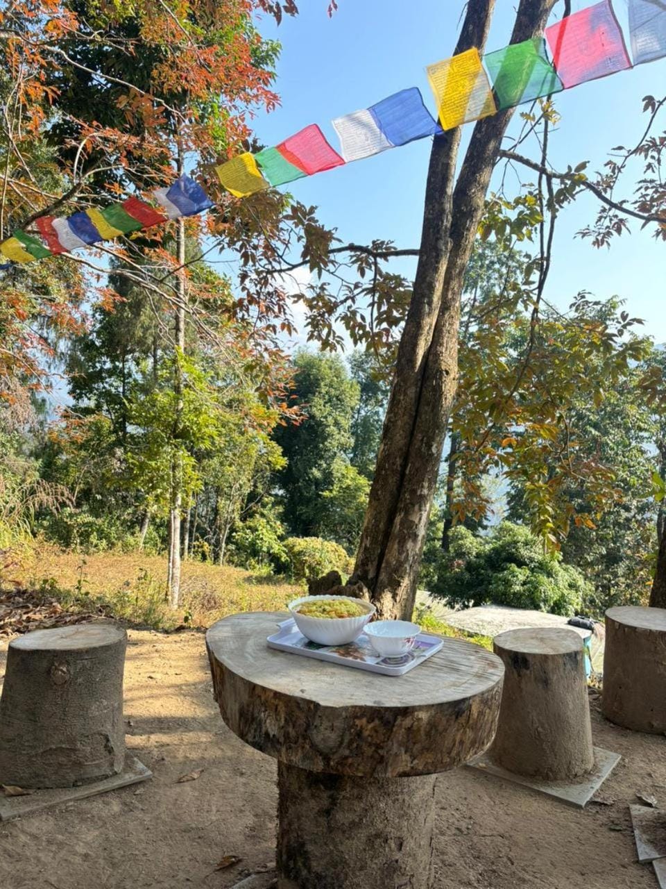 Garden view