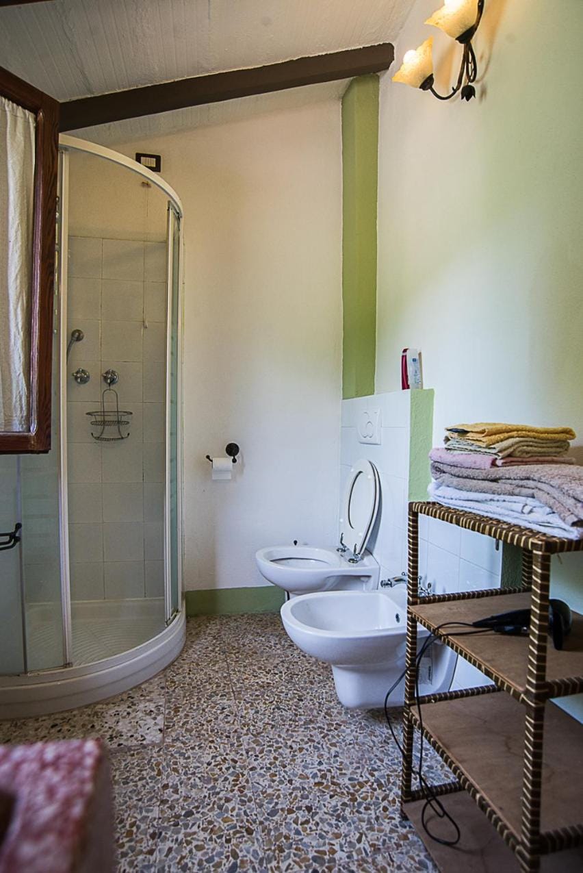 Shower, Toilet, Bathroom, bidet