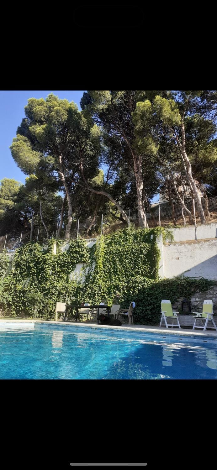 Garden, Swimming pool, Swimming pool