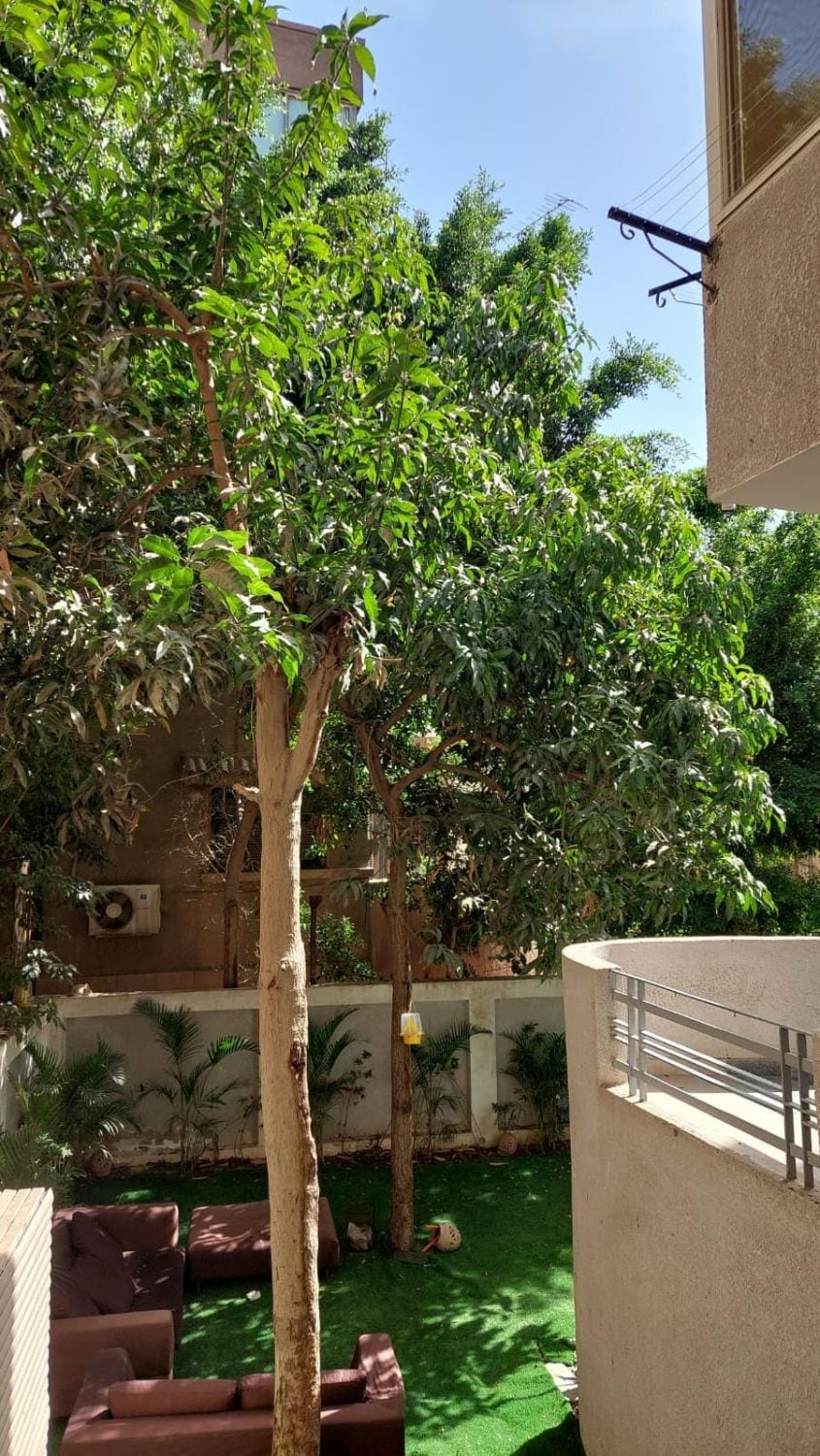 Cozy 2BR Retreat with Green Views, Minutes from the Airport Apartment in Cairo Governorate