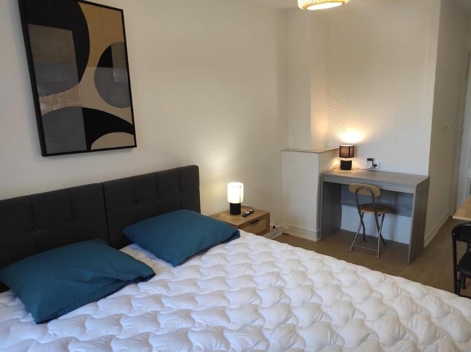 Studio avec lit queensize Apartment in Nancy