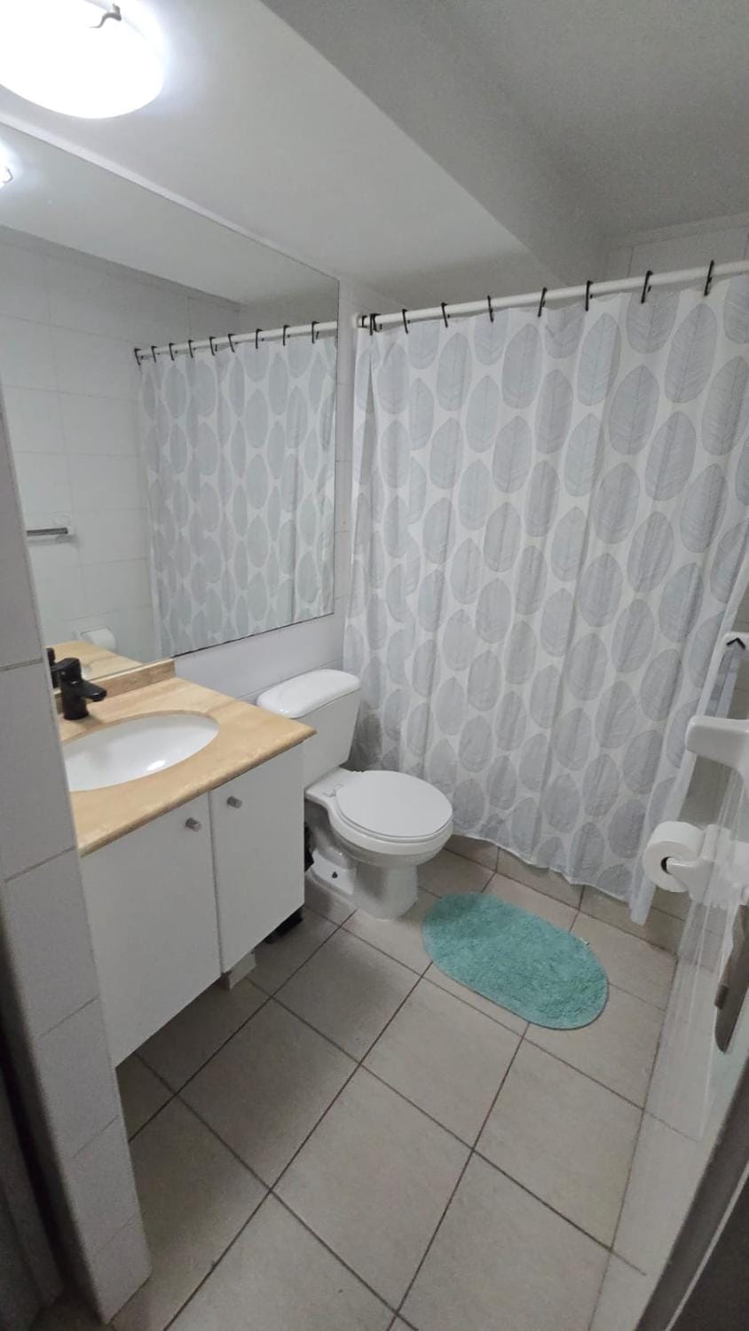 Departamento Alameda Lastarria Apartment in Santiago