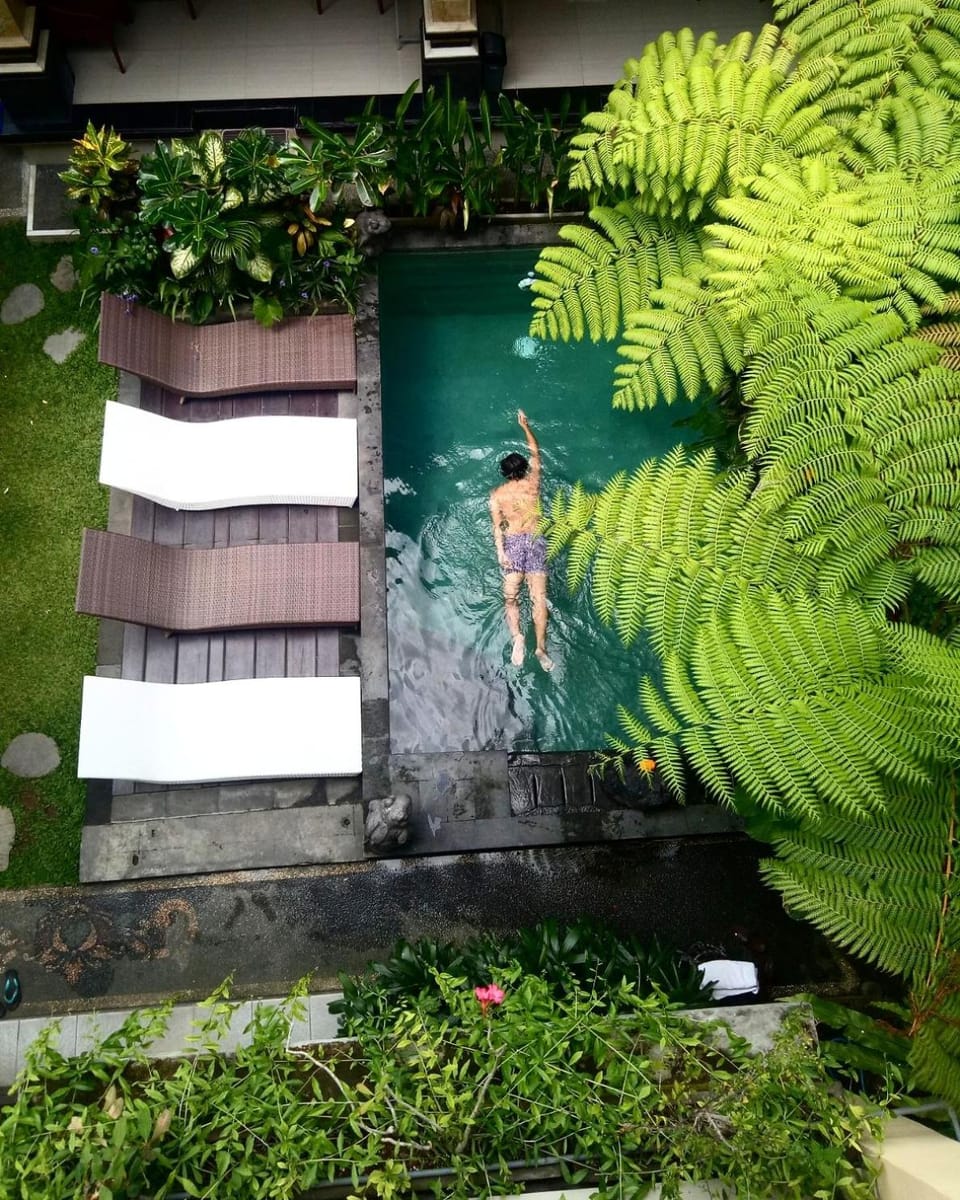 Pool view, Swimming pool