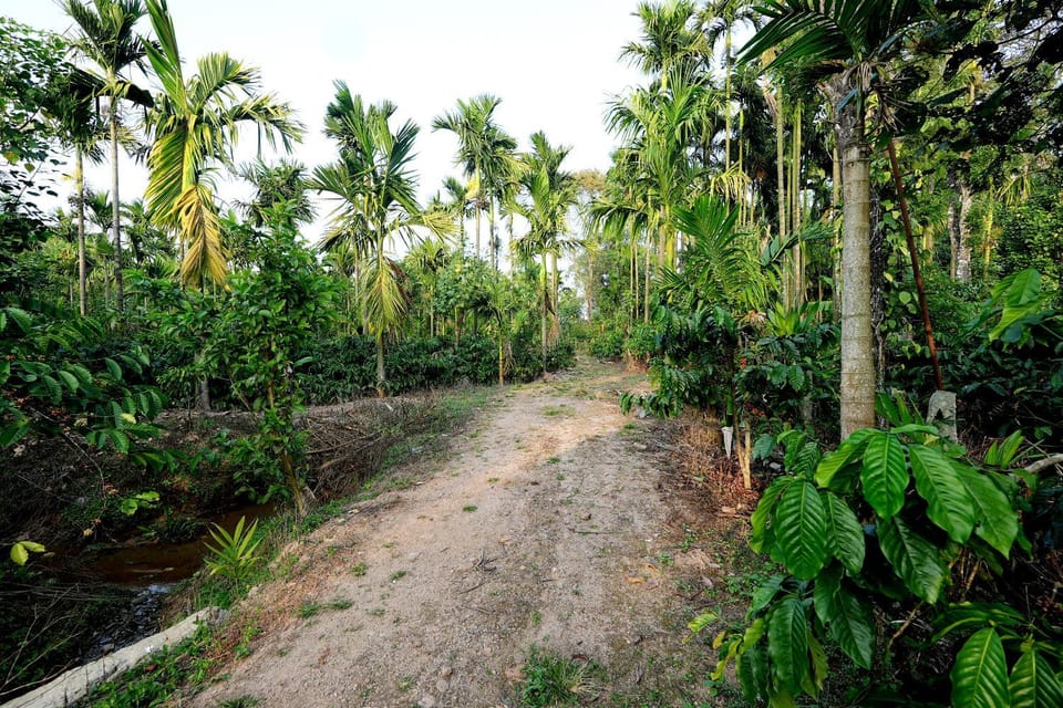 Natural landscape