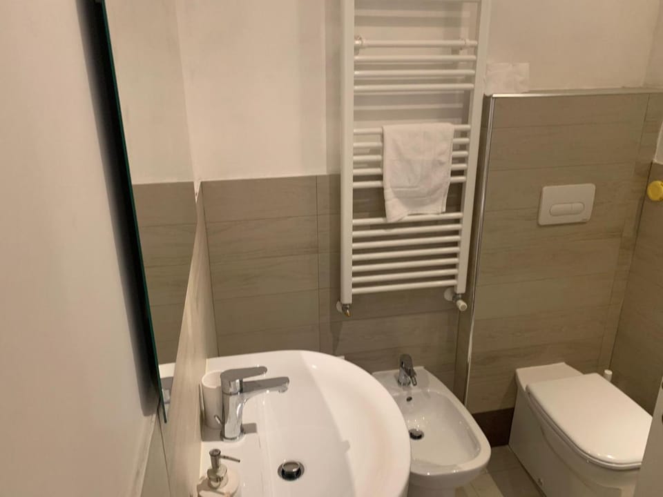 Shower, Toilet, Bathroom, Other, Decorative detail, towels