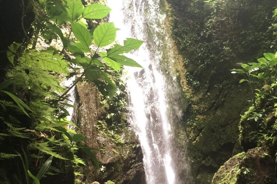 New Beachfront Jewel in the Jungle on Golfo Dulce House in Cartago Province, Costa Rica