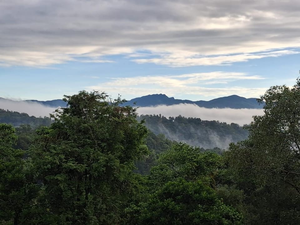 Iliyana Home Stay Vacation rental in Gangawatakorale