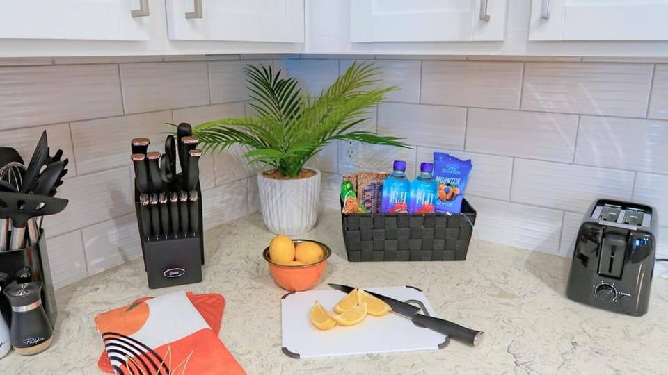 Bird of Paradise l 1BD Lux King in NE Jax Apartment in Jacksonville