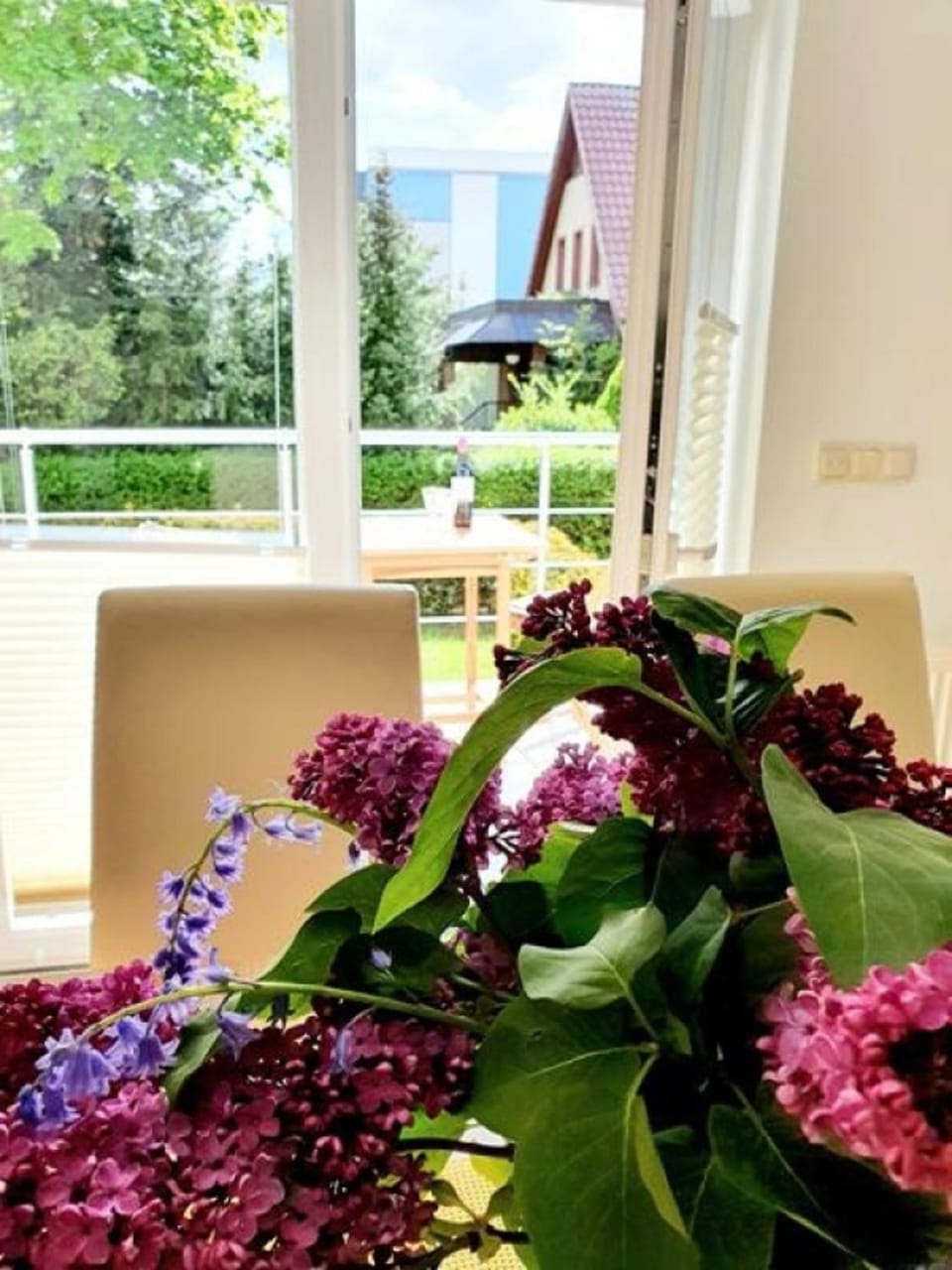Kleiner Seezauber Bad Kleinen - ABC555 Apartment in Mecklenburg-Vorpommern, Germany