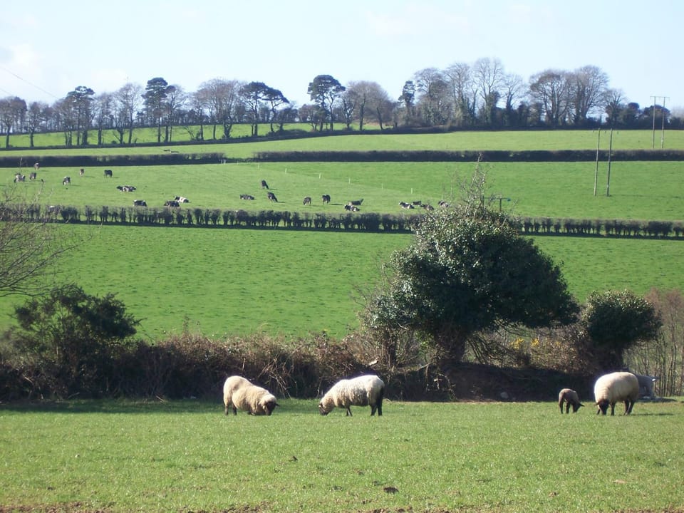 Kilbora B&B Bed and Breakfast in Ireland