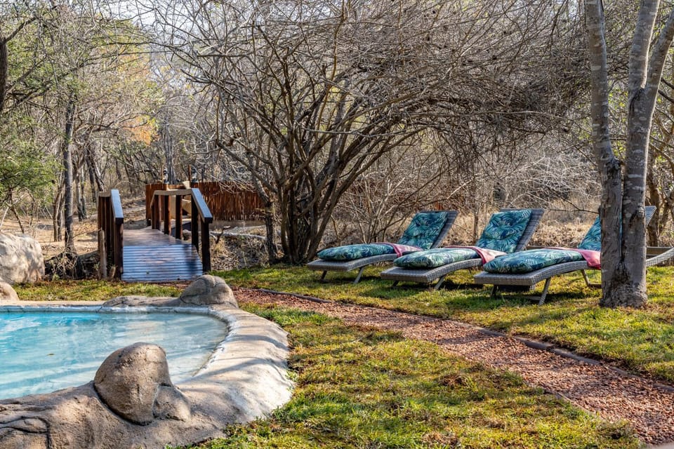 Natural landscape, Swimming pool, sunbed