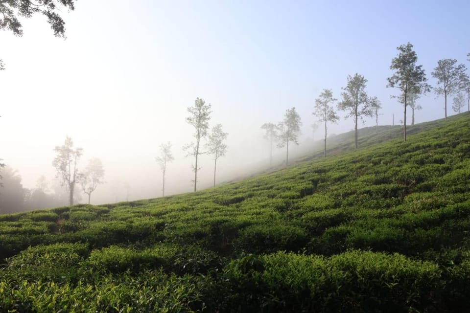 Cinnamon Trails plantation bungalow Villa in Kerala