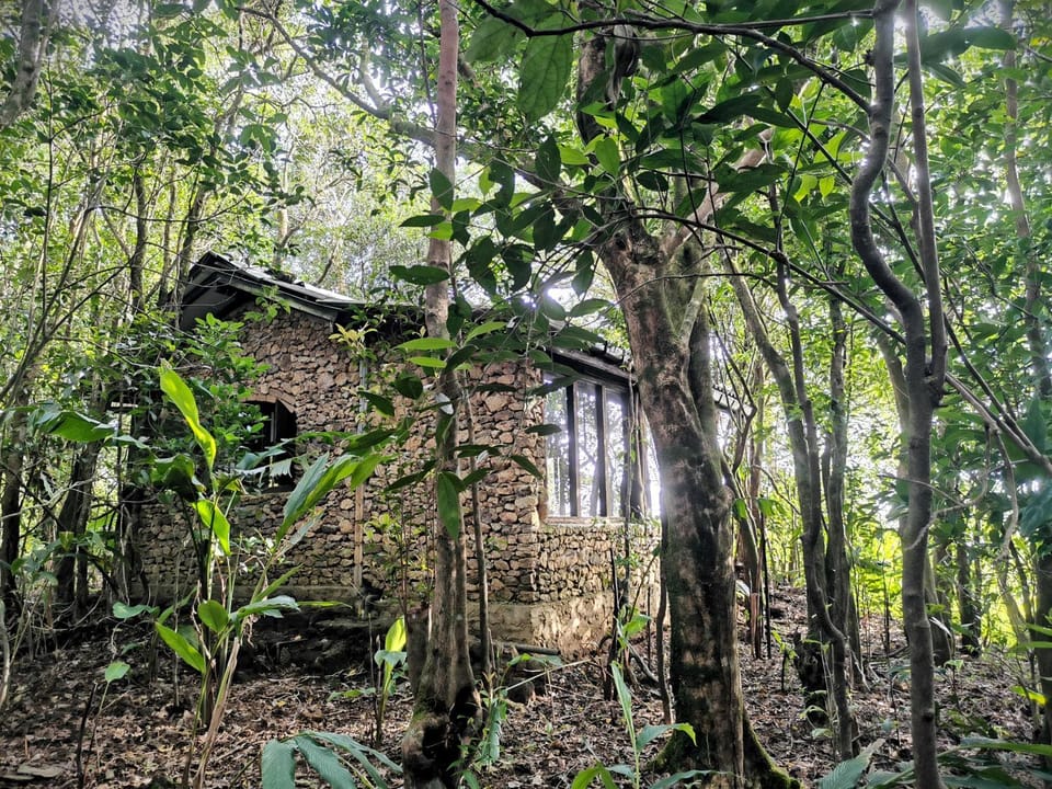 Property building, Natural landscape