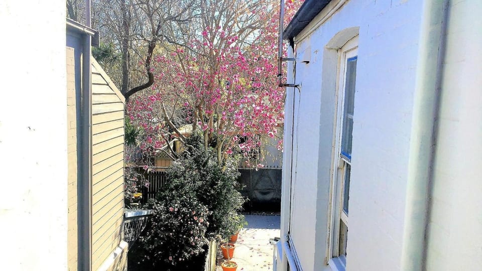 Magnificent Newtown Terrace House in Marrickville