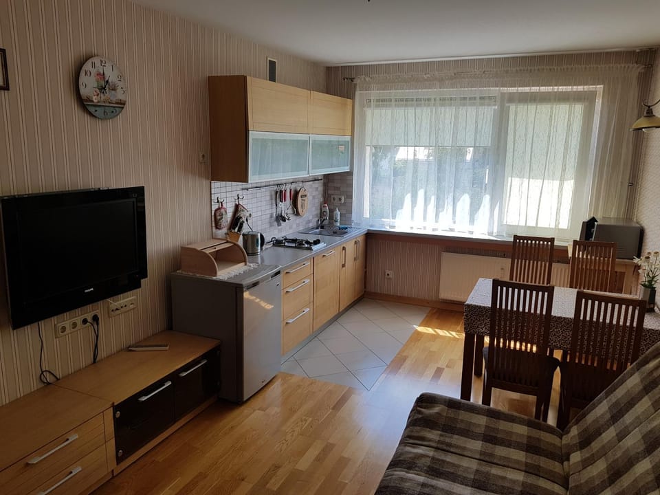 Kitchen or kitchenette, Living room, Photo of the whole room, Decorative detail, Dining area