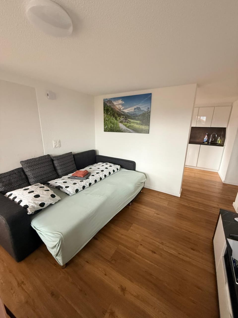 Bed, Living room