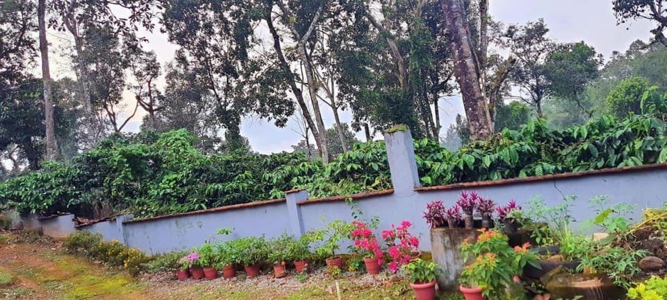 Bymana Serenity Estate Stay Vacation rental in Kerala