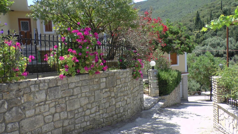 Garden view, Mountain view, Street view