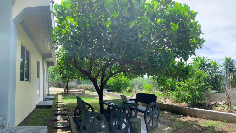 Patio, Garden view