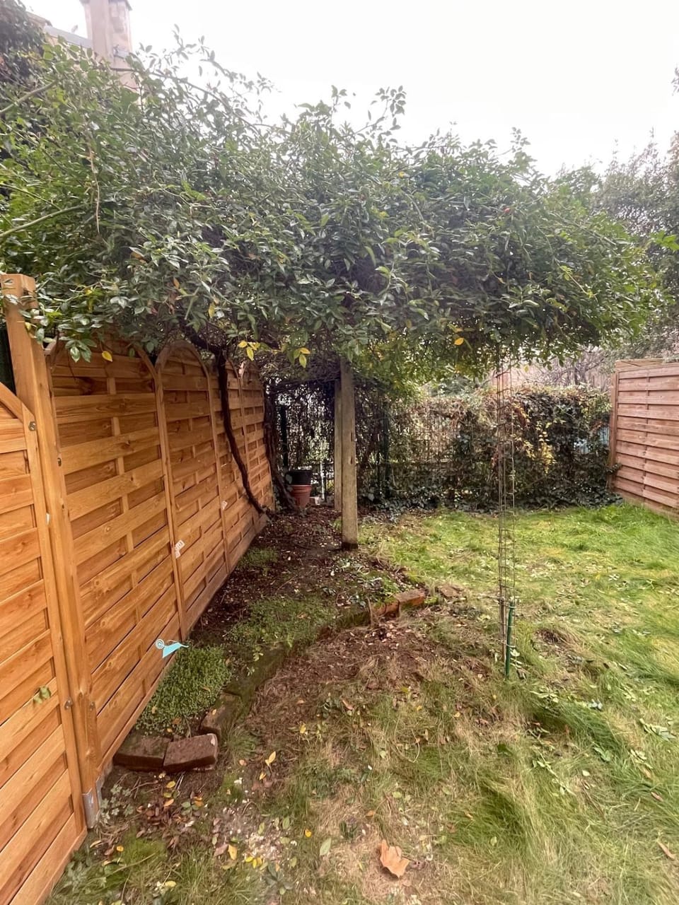 Patio, Activities, Garden, Garden, View (from property/room), Balcony/Terrace, Balcony/Terrace, Garden view, Sunrise, children, young children, older children, group of guests, Family, heating, storage, toaster, towels, kitchen, air conditioner