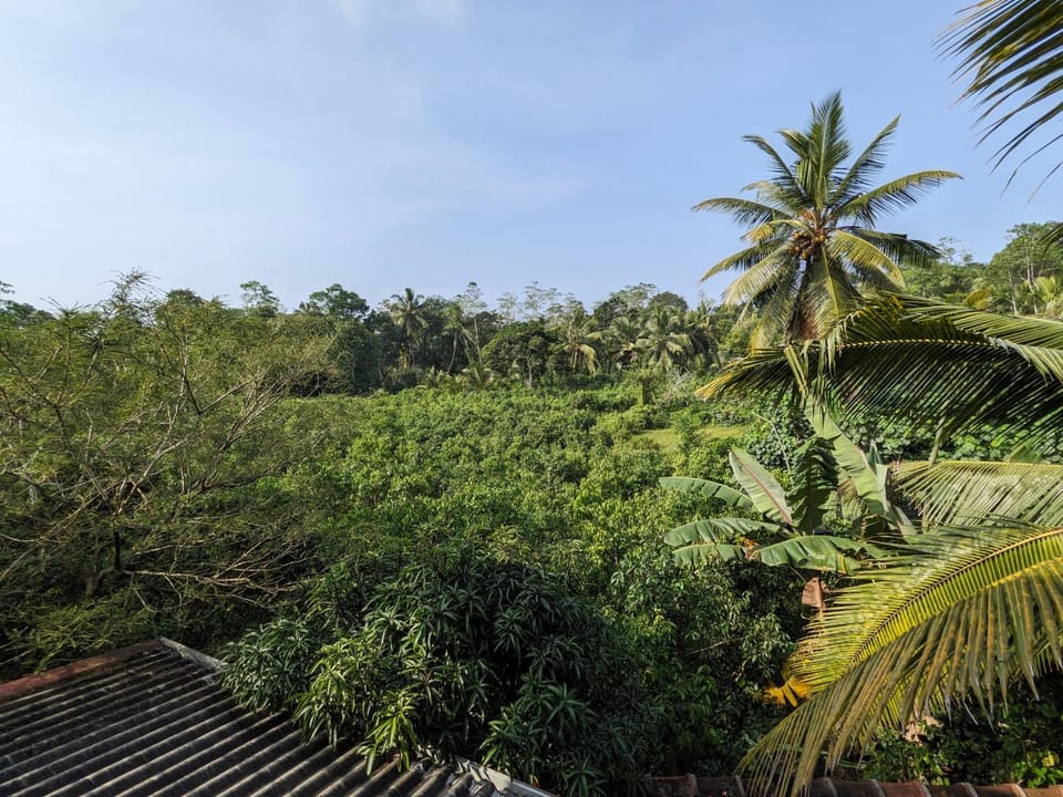 Natural landscape